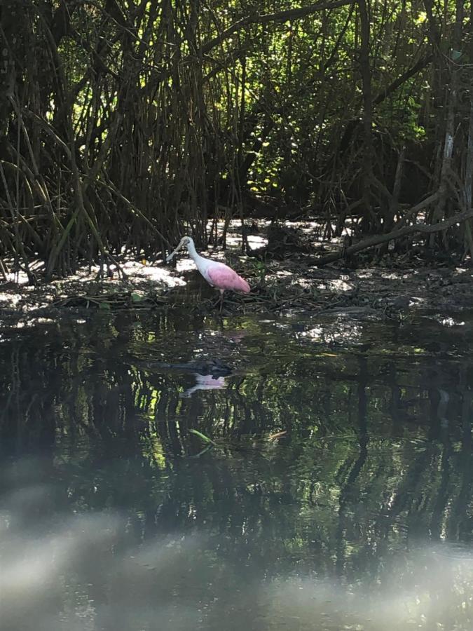 Paraiso Na Ilha Da Gigoia Rio de Janeiro Kültér fotó
